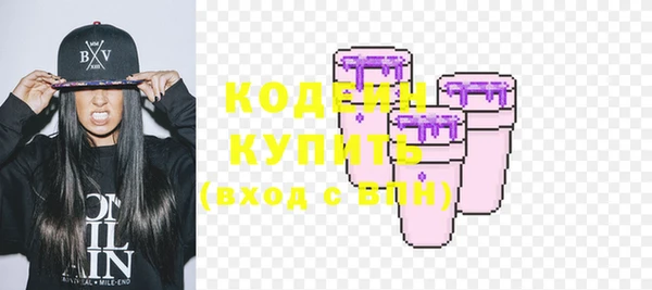мдпв Иннополис