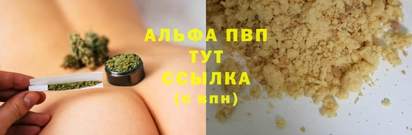 ECSTASY Инта