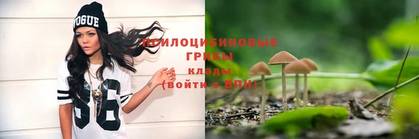 мдпв Иннополис