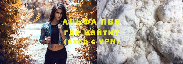 ECSTASY Инта