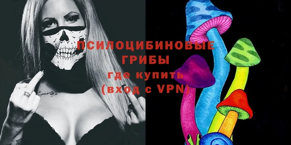 мдпв Иннополис